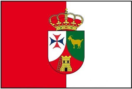 Nueva Bandera de Moya